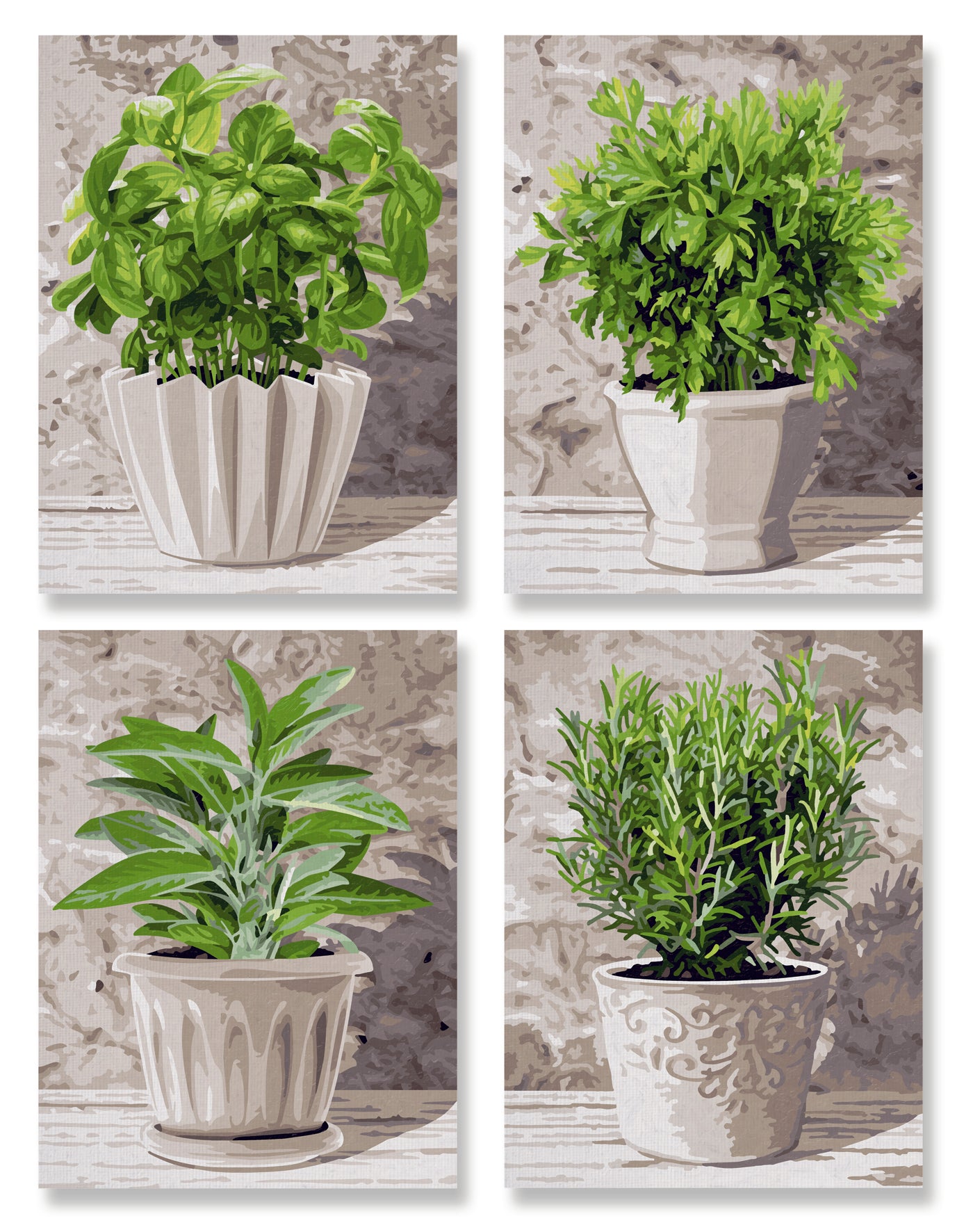 Schipper: Küchenkräuter