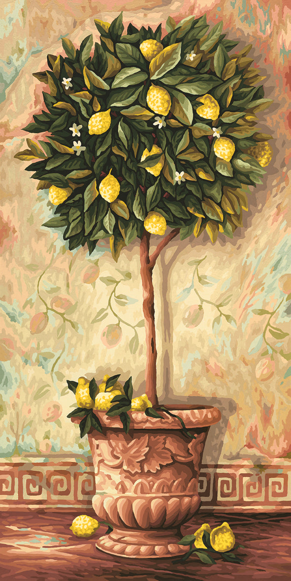 Schipper: Citrus Limonum