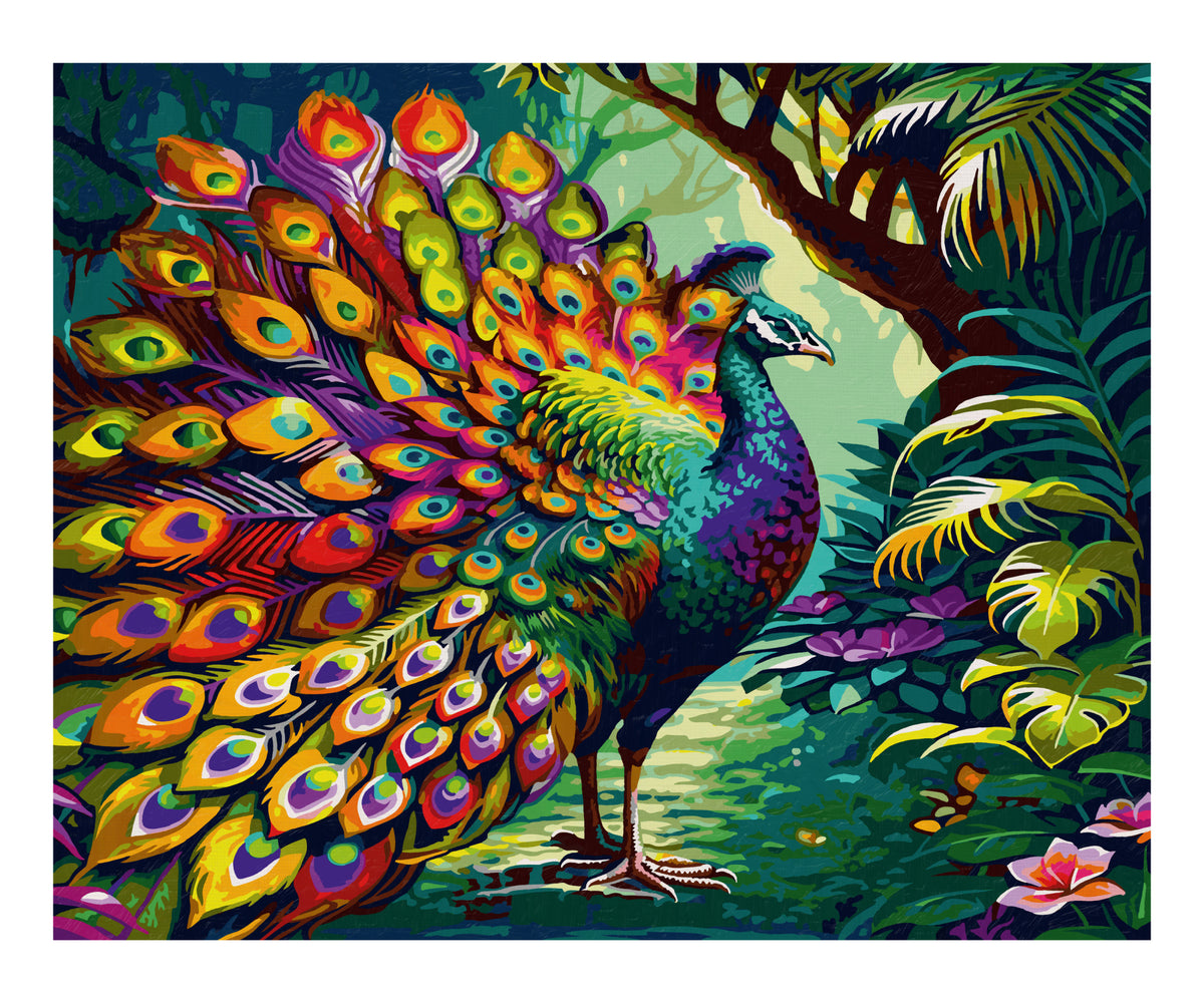Schipper: Pfau