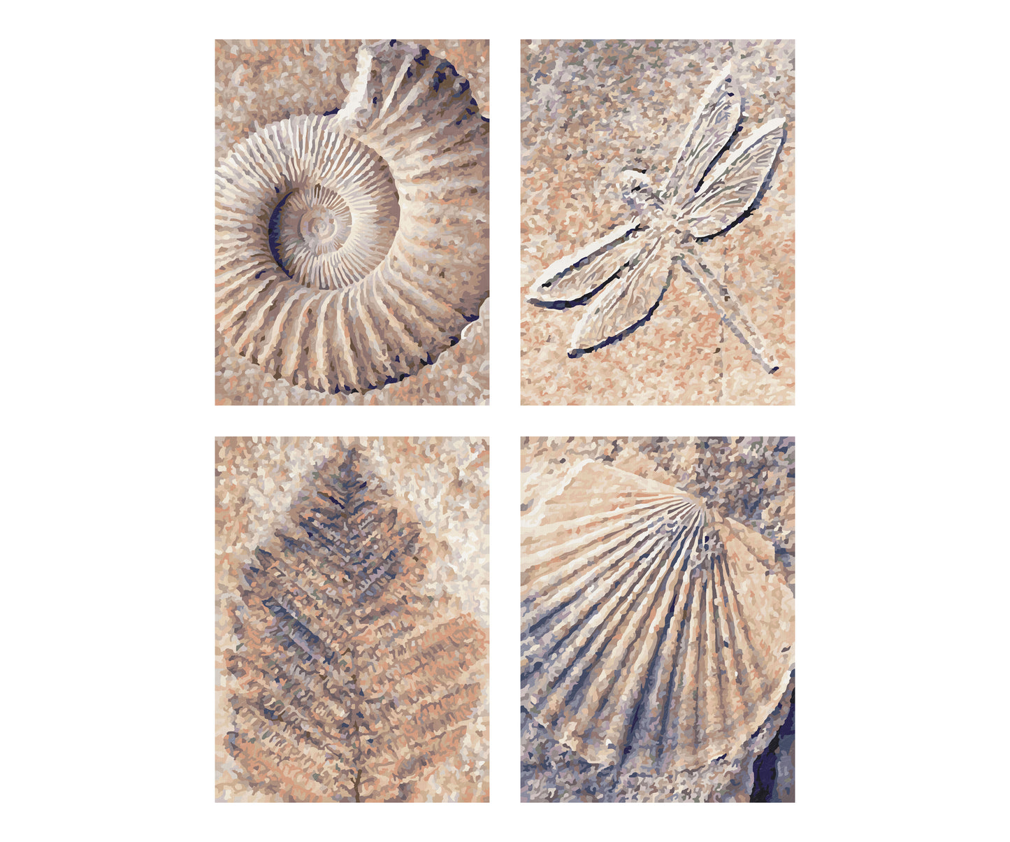 Schipper: Fossilien