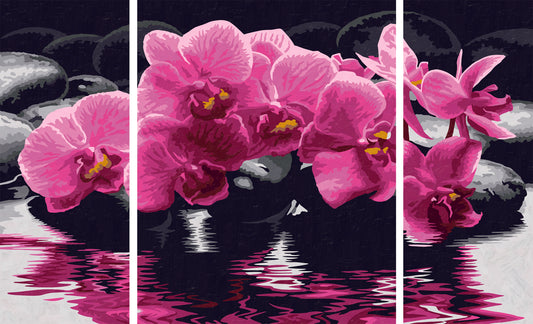 Schipper: Orchideen